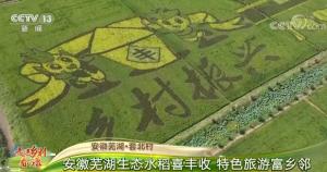 安徽芜湖·套北村:生态水稻喜丰收特色旅游富乡邻